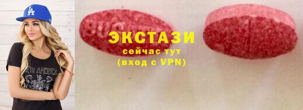 шишки Аркадак