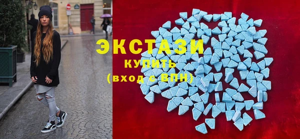 шишки Аркадак