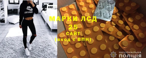 шишки Аркадак